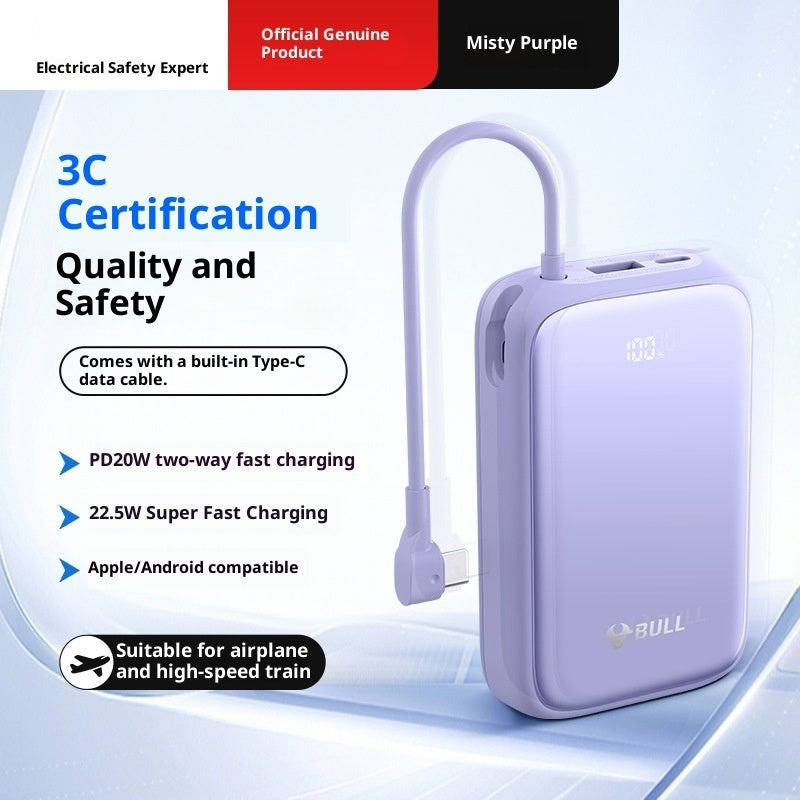 Power Bank 20000 MA Super Large Capacity Fast Charging With Cable EX-STOCK Canada 