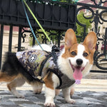 Pet Dog Clothes For Small Dogs Winter Warm Dog Hooded Coat Jackets Chihuahua Pug Outfits Puppy Cat Clothing EX-STOCK Canada 