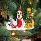 Christmas Family Puppies Decorate Trees With Lights - EX-STOCK CANADA