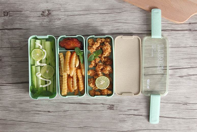 Microwave-Safe Multi Layer Lunch Box for Kids - EX-STOCK Canada