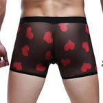 Spandex Mesh Printed Pouch boxer briefs underwear men - EX-STOCK Canada