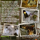Combat Elite: WWII Paratroopers 