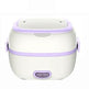 Multi-Function Electric Cooking Lunch Box – Portable & Heated - EX-STOCK Canada