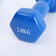 Color fitness dumbbells 