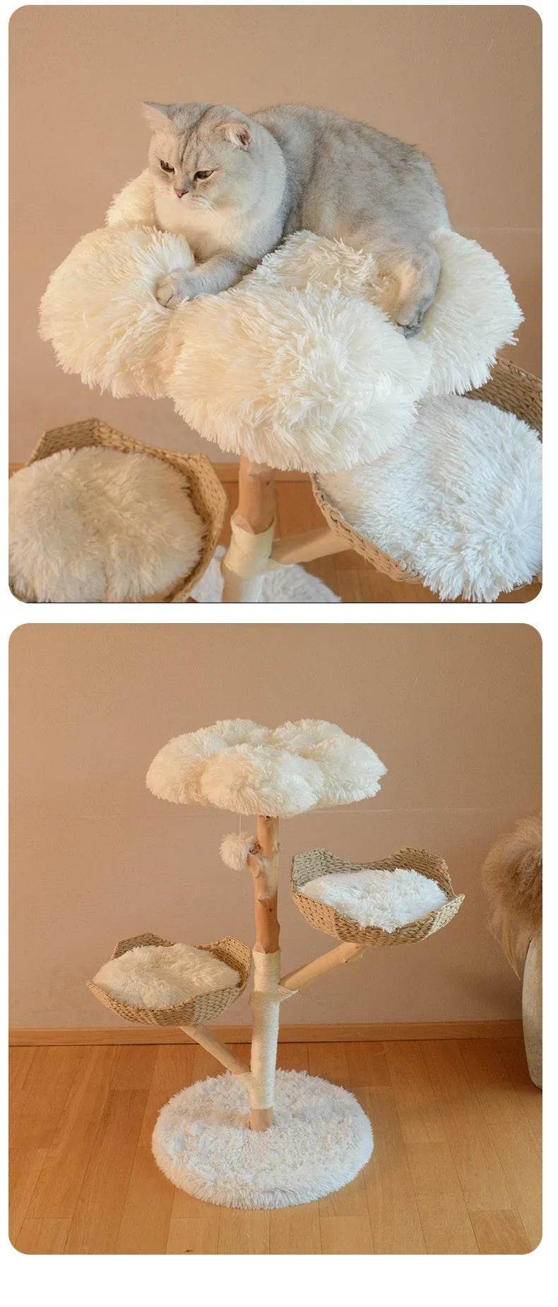 Natural Fruit Tree Cat Climbing Frame Solid Wood Rattan Cat Nest Cat Tree - EX-STOCK Canada