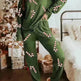 Women's Christmas sweatsuit Sequins Long Sleeve Pants Two-piece Set Fashion Casual Set - EX-STOCK CANADA