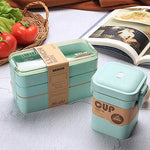 Microwave-Safe Multi Layer Lunch Box for Kids - EX-STOCK Canada