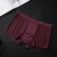 Yachen Silky mesh Breathable boxer briefs underwear men - EX-STOCK Canada