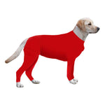 New Style Dog Clothes For Autumn And Winter | EX-STOCK product gallery photo 1