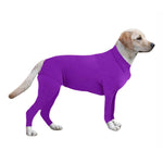 New Style Dog Clothes For Autumn And Winter | EX-STOCK product gallery photo 2