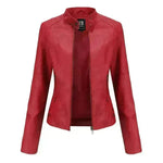 Fashioned European and American Slim fit stand collar Leather jacket for women - EX-STOCK CANADA