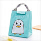 Kids Cartoon Canvas Lunch Bag - EX-STOCK Canada