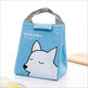 Kids Cartoon Canvas Lunch Bag - EX-STOCK Canada