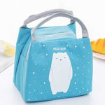 Insulated Lunch Bag – Thermal Storage Bag for Picnic, Work & Travel (Blue & Grey)