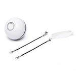 LED Laser Electronic Rolling Pet Funny Cat Toy Ball - EX-STOCK CANADA