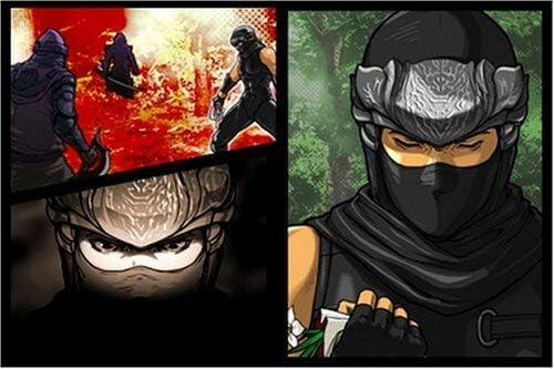 Ninja Gaiden - Dragon Sword 