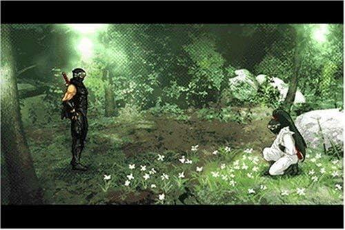 Ninja Gaiden - Dragon Sword 