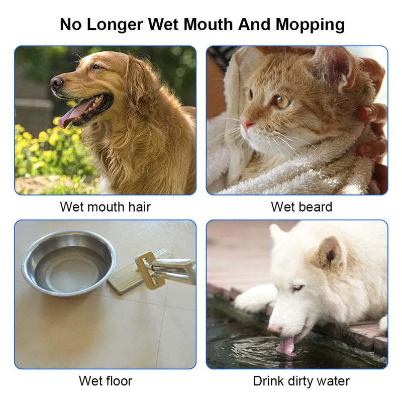 Cat Dog Water Bowl Anti Splash Design - EX-STOCK CANADA