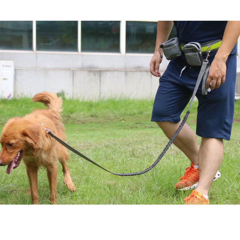 Adjustable Hands Free Dog Leash - EX-STOCK Canada