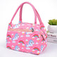 Portable Oxford Printed Insulated Tote Lunch Bag - EX-STOCK Canada