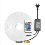 220V Neon Light With LED Neon Background Decorative Light Strip - EX-STOCK CANADA