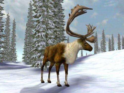 Cabela's Legendary Adventures 