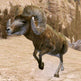Cabela's Legendary Adventures 