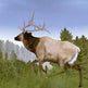 Cabela's Legendary Adventures 