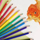 Ensemble de crayons de couleur créatifs 24 couleurs Organisation de formation - EX-STOCK Canada