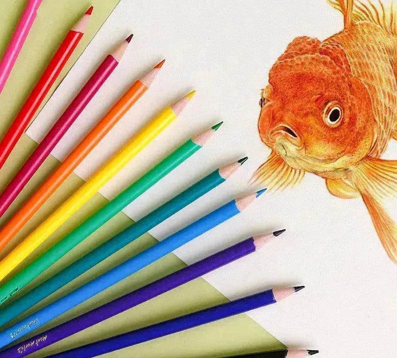 Ensemble de crayons de couleur créatifs 24 couleurs Organisation de formation - EX-STOCK Canada