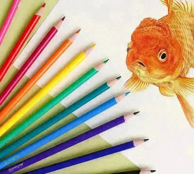 24 Color Creative Color Lead Set Training Organization - EX-STOCK CANADA