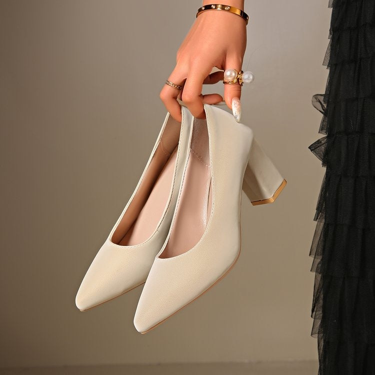 Women's Chunky Heel Pumps 2025 New Korean Style Simple Fashion Shoes Pointed Toe High Heels 