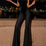 Black Sparkly Mesh Flare Evening Jumpsuit product image 1