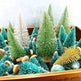 Blue Gold Silver And Red Mini Christmas Tree Ornaments - EX-STOCK CANADA