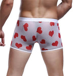 Spandex Mesh Printed Pouch boxer briefs underwear men - EX-STOCK Canada