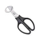 Pigeon Quail Egg Scissor Bird Cutter Opener Kitchen Tool - EX-STOCK Canada