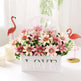 Living Room Set Ornament Hanging Basket Wall EX-STOCK Canada 
