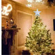 Christmas Tree Top Light Star Snowflake Shape LED Laser Projector Lights Christmas Tree Ornament - EX-STOCK CANADA