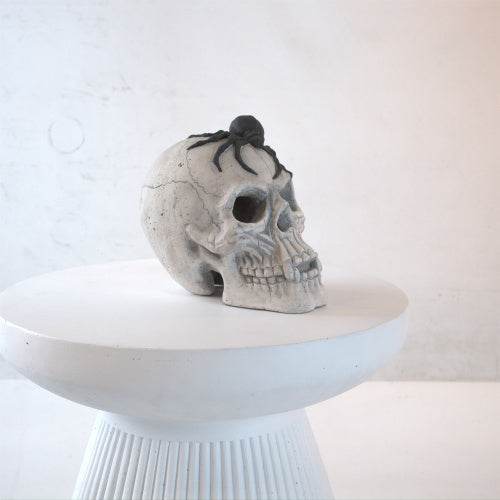 Demon Skull,Suitable For Outdoor Fireplace And Fire Pit, Halloween Decoration - EX-STOCK Canada