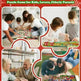 Christmas 24-day Countdown Scene Puzzle - EX-STOCK CANADA