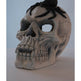 Demon Skull,Suitable For Outdoor Fireplace And Fire Pit, Halloween Decoration - EX-STOCK Canada