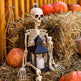 Halloween Movable Joint Skeleton Plastic Model 90cm Party Outdoor Decoration Props - EX-STOCK Canada