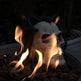 Fire Pit Demon Skull Gas Log For Ventless Vent Free, Propane, Gel, Ethanol, Electric, Outdoor Fireplace And Fire Pit, Halloween Decor - Patent Pending - EX-STOCK Canada