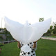 peace pigeon aluminum film balloon - EX-STOCK CANADA