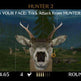 Deer Drive 