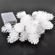 LED Simulation Transparent Pine Nut Light String - EX-STOCK CANADA