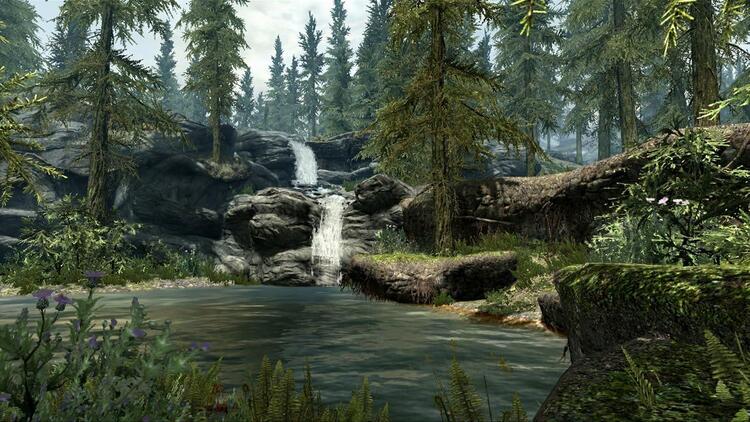 The Elder Scrolls V: Skyrim 