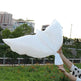 peace pigeon aluminum film balloon - EX-STOCK CANADA