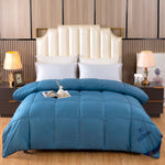 Downfull Spring And Autumn Winter Duvet Thickened EX-STOCK Canada 
