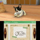 Nintendogs + Cats:  French Bulldog & New Friends 